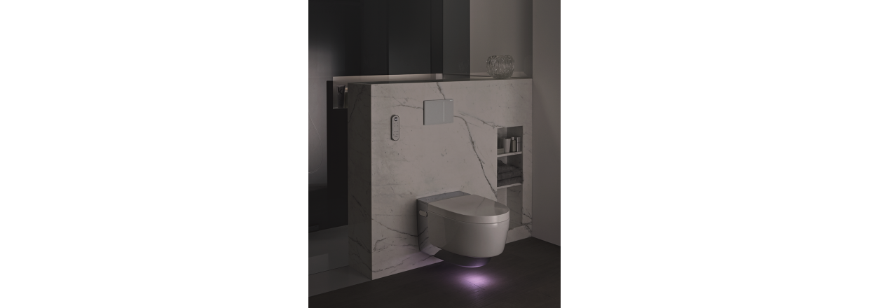 Wellness-toilet